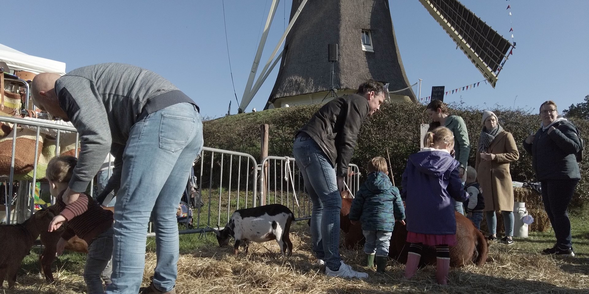 Foto: Boerenlanddag bij Molen de Duif wederom druk bezocht