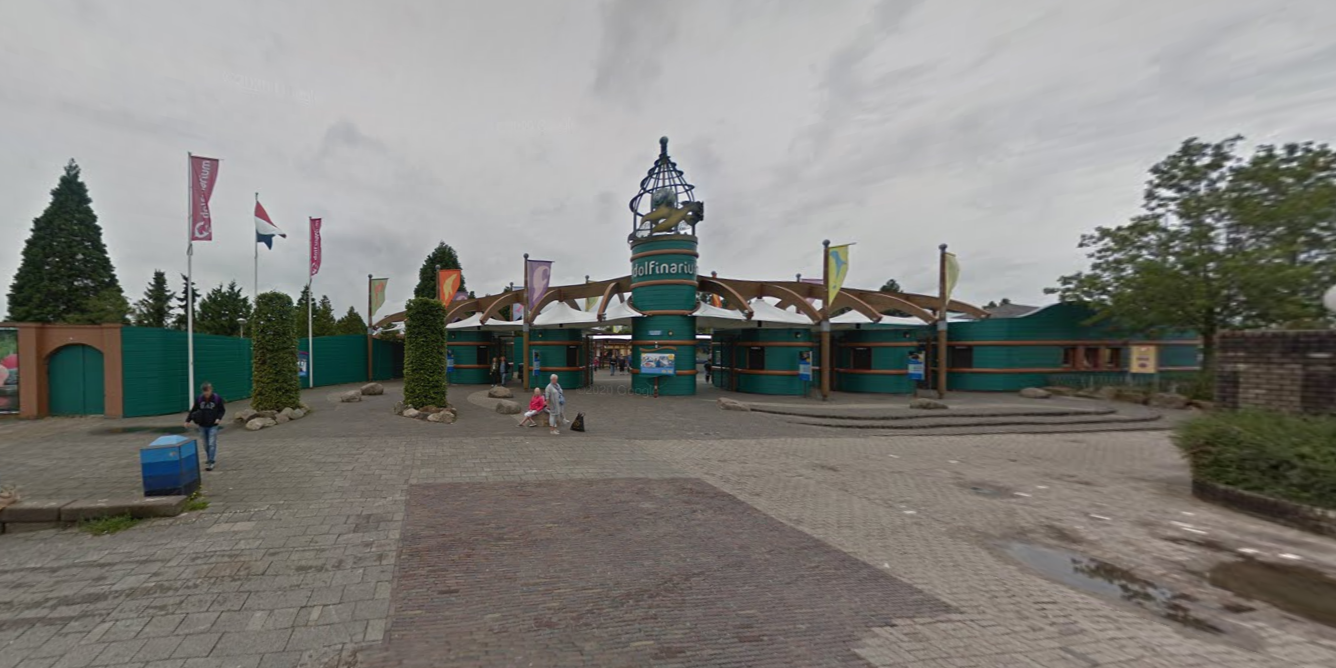 Foto: Dierenactivisten blokkeren ingangen Dolfinarium