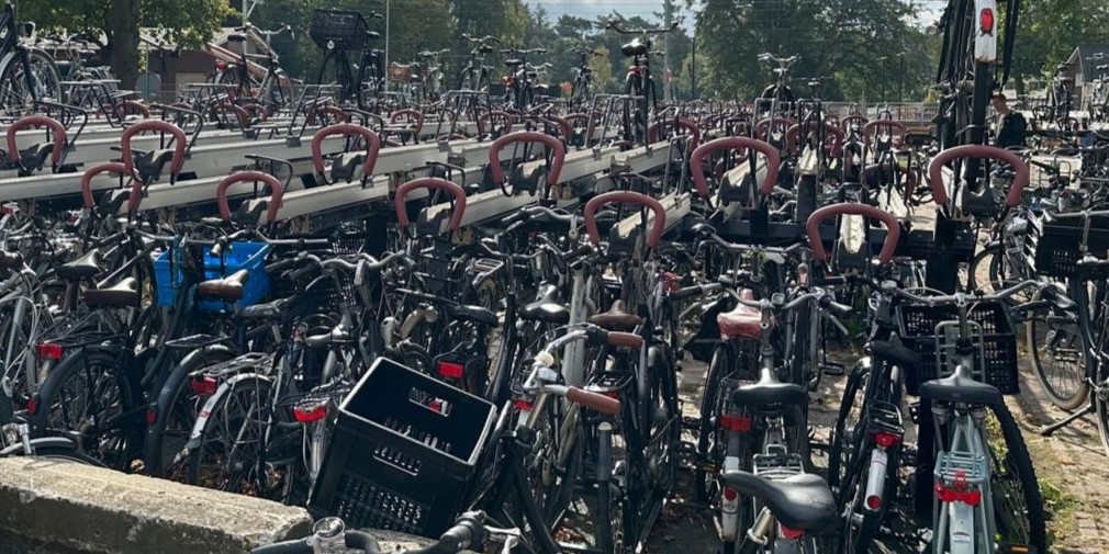 Foto: Weesfietsen station ’t Harde worden verwijderd