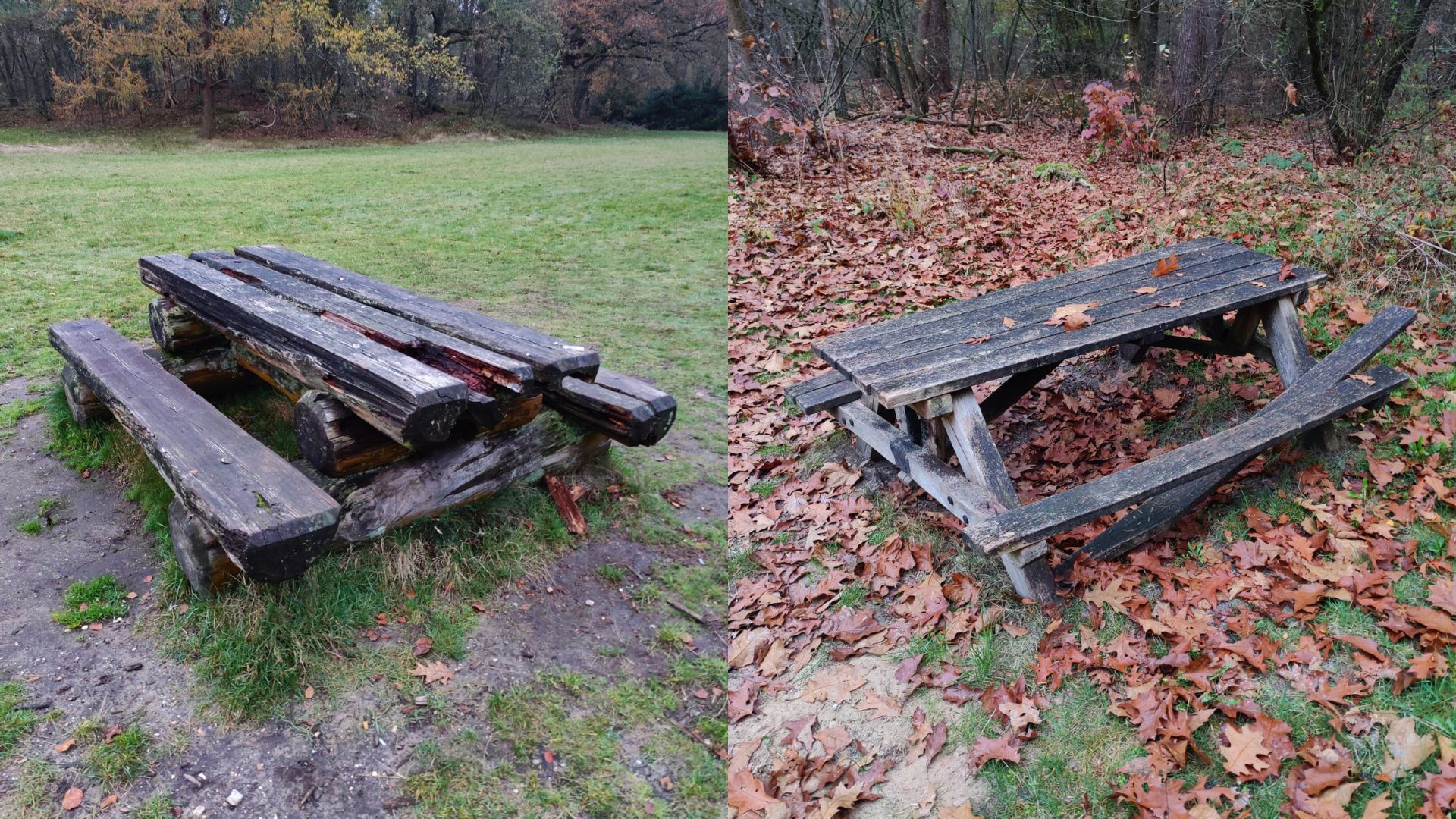 Foto: Geldtekort bij Staatsbosbeheer, vooral recreanten de dupe