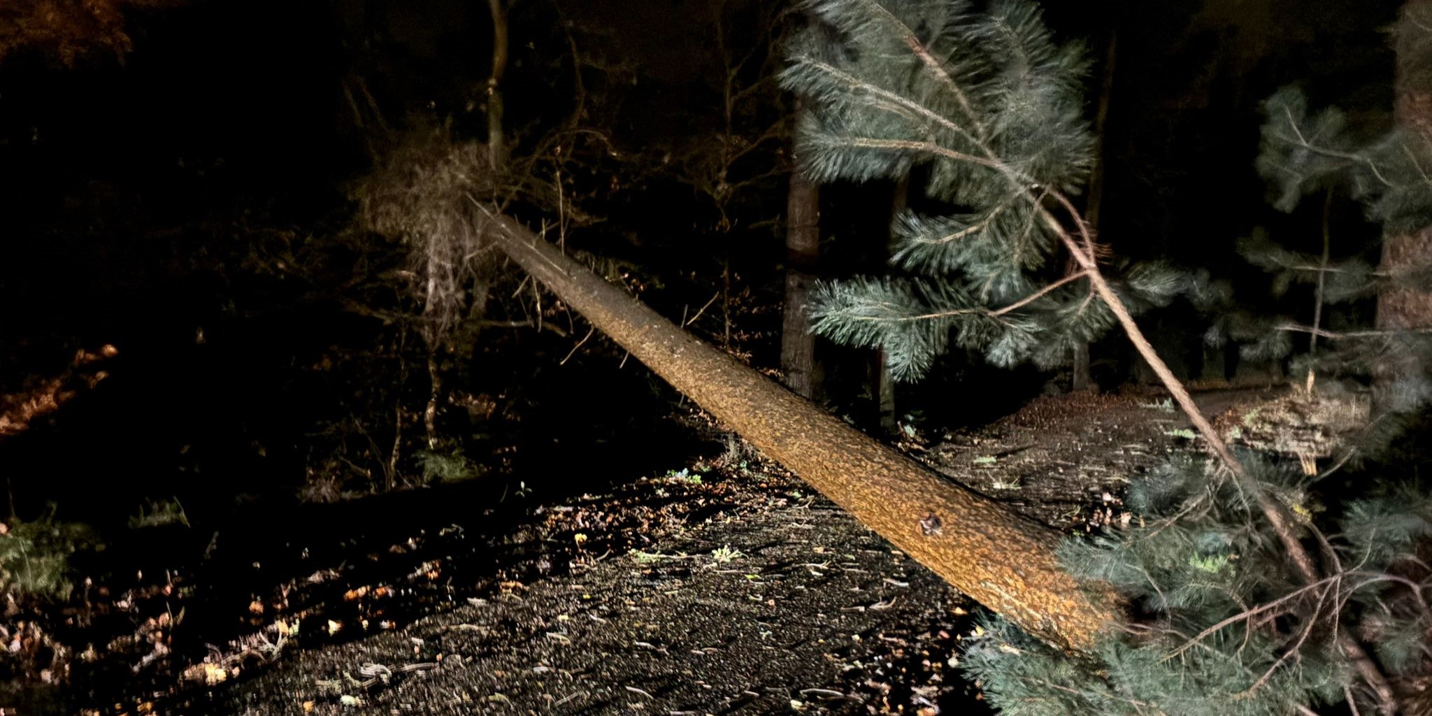 Foto:  Storm Conall in Nunspeet en omgeving: veel wind, maar geen grote problemen!
