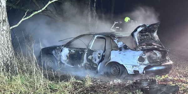 Foto: Auto volledig uitgebrand aan de Hooiweg in Elspeet: politie vermoedt brandstichting