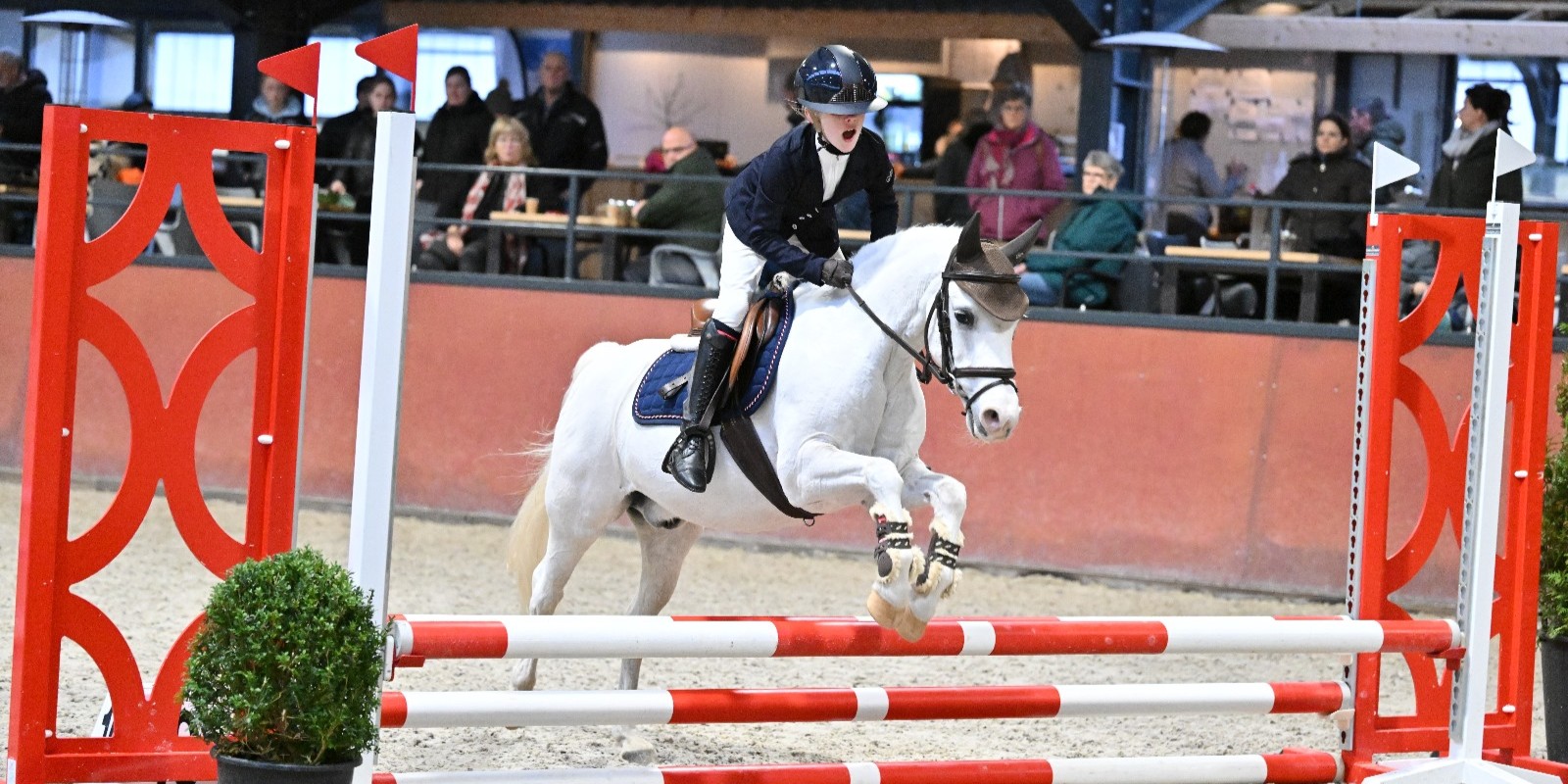 Foto: Zowel de Ruiterclub als Ponyclub behaalden mooie resultaten