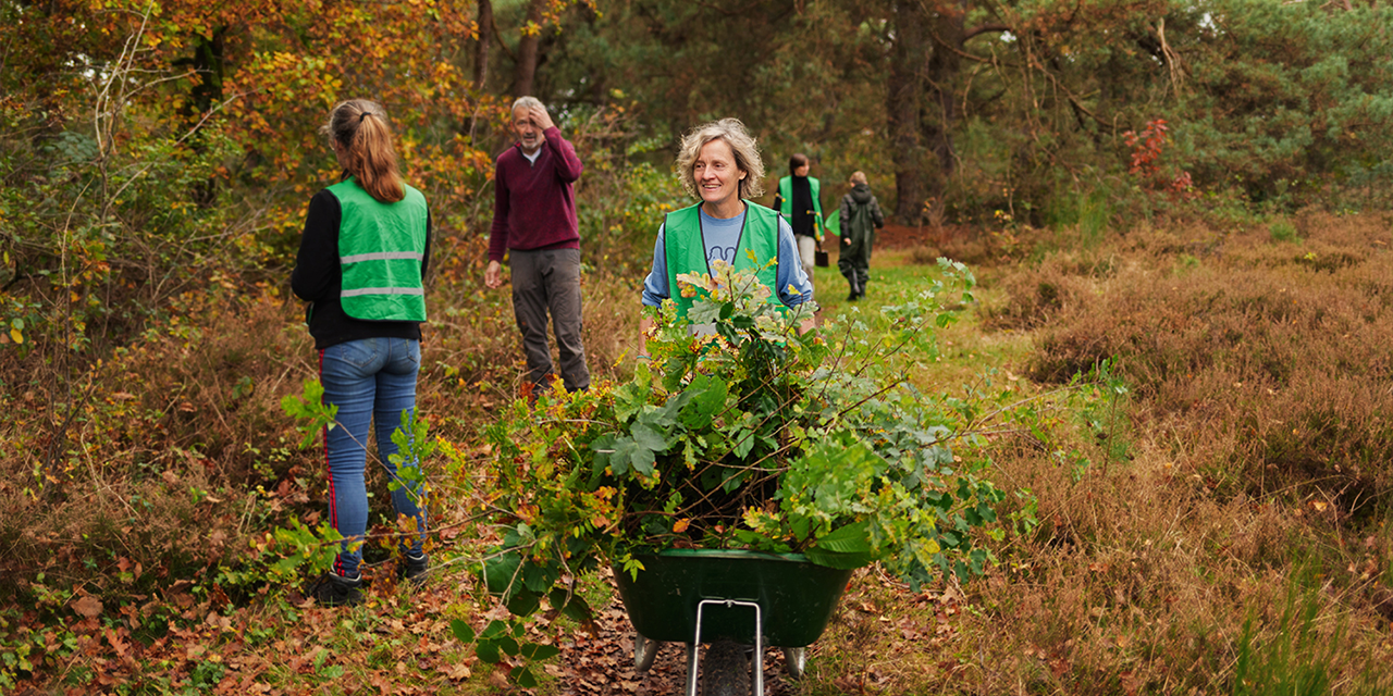 Foto: Red de bomen en haal een gratis boom op!