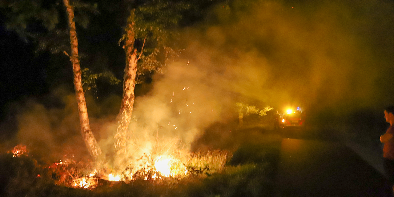 Foto: Brandweer waarschuwt: nu al bosbrandgevaar