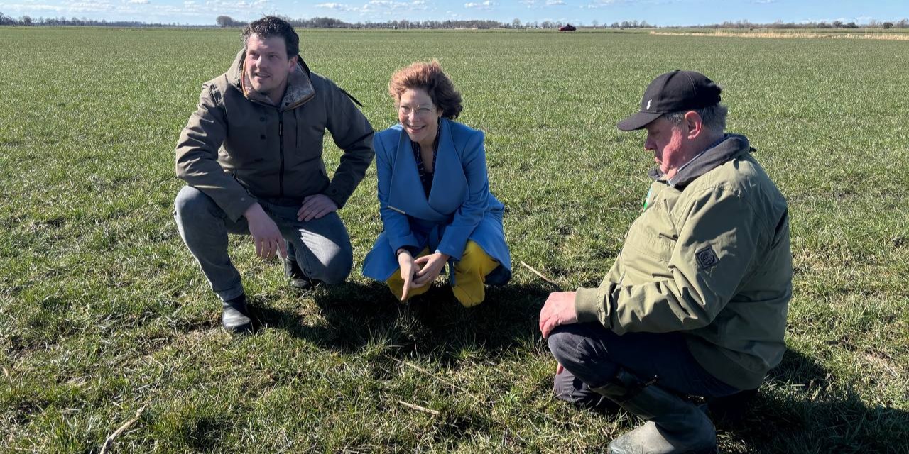 Foto: Primeurtje: De eerste kievitseieren in de regio zijn gevonden