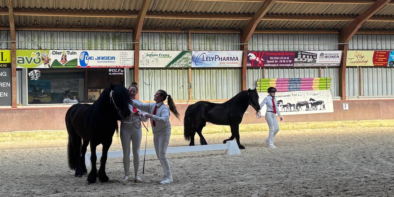 Foto: Hengstenkeuring van NFPS in Hulshorst