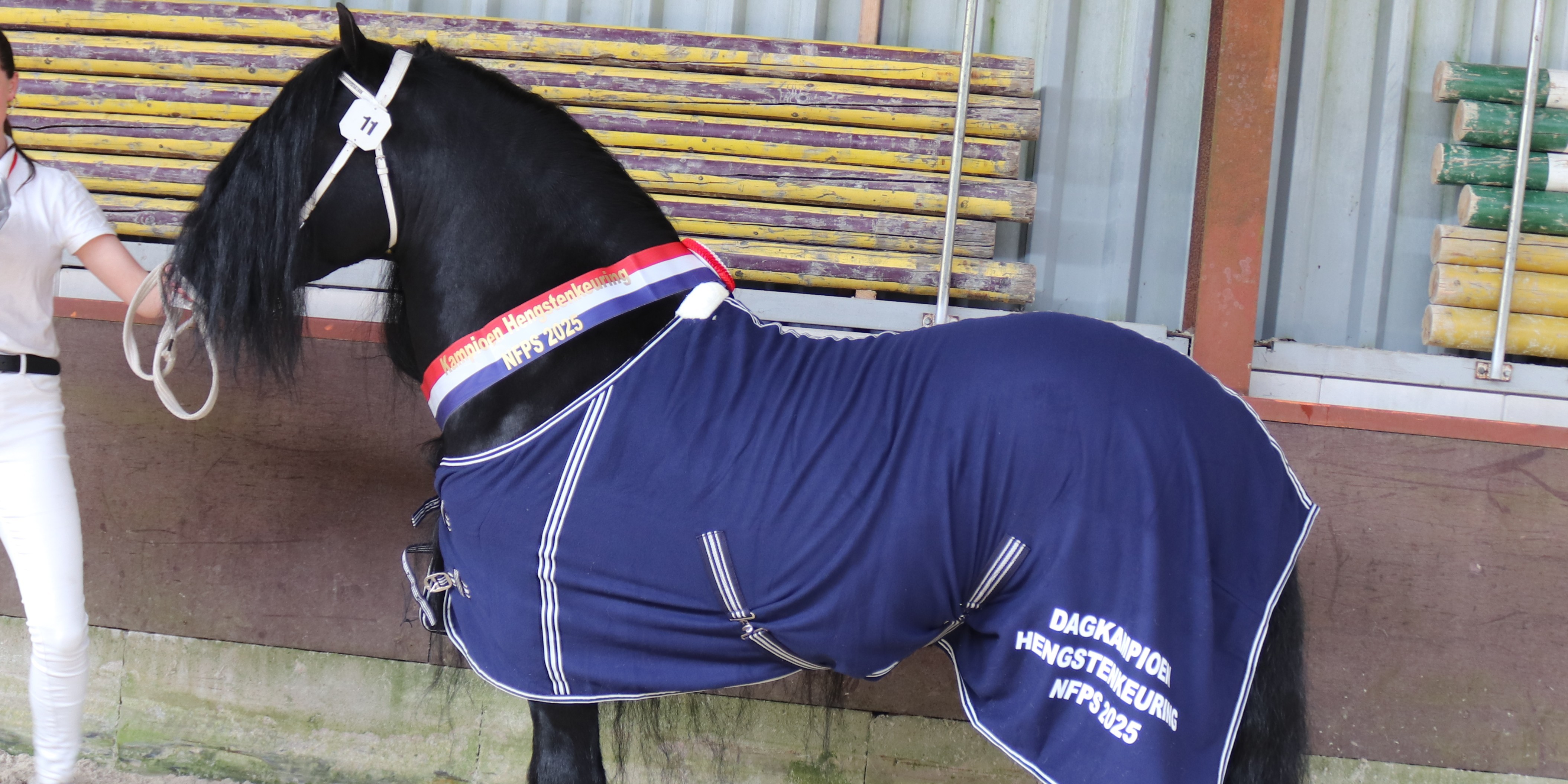 Foto: Negenjarige Air Croft JB dagkampioen NFSP hengstenkeuring