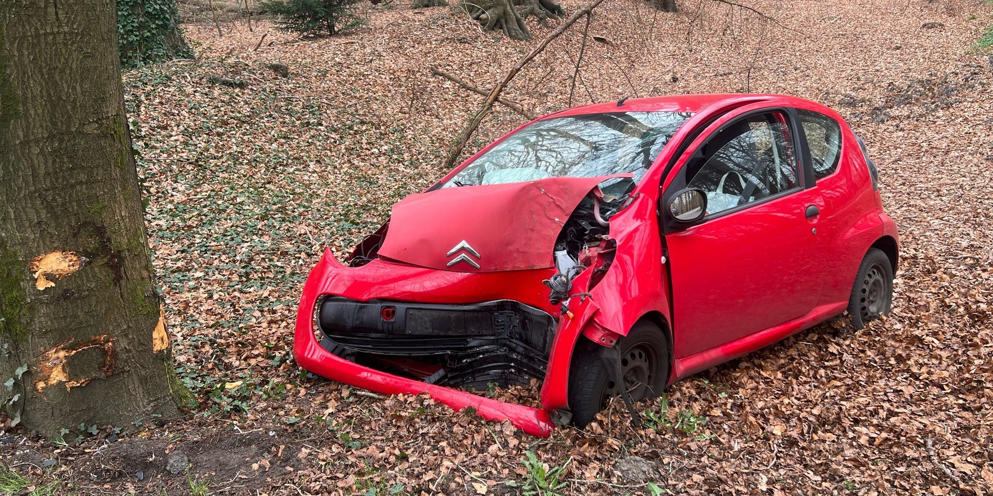 Foto: Automobilist botst tegen boom in Elspeet