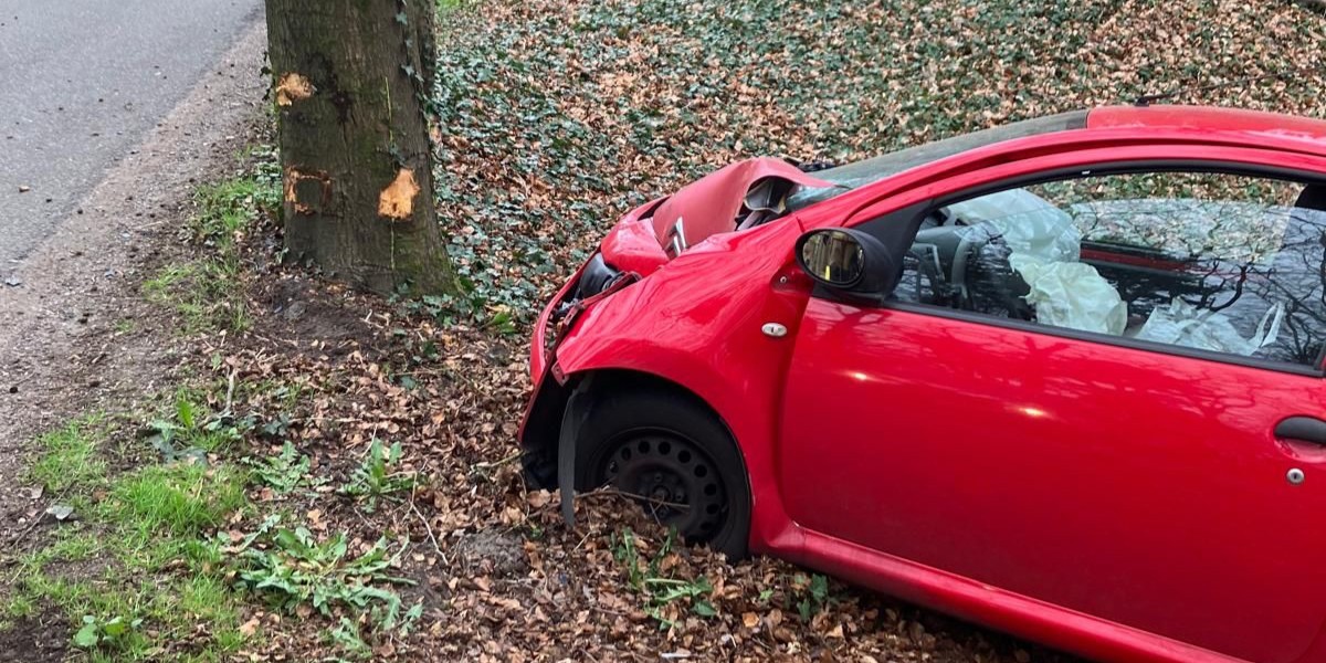 Foto: Automobilist botst tegen boom in Elspeet