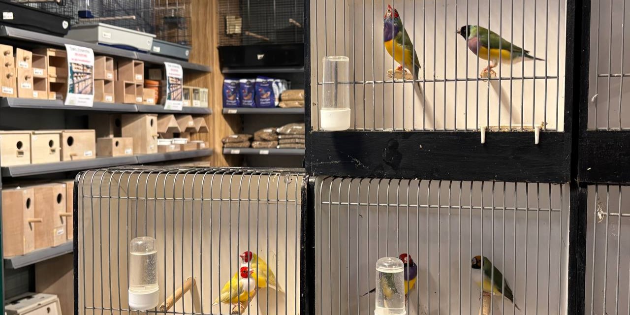 Foto: Zelfs uit Duitsland animo voor de vogel vraagdag