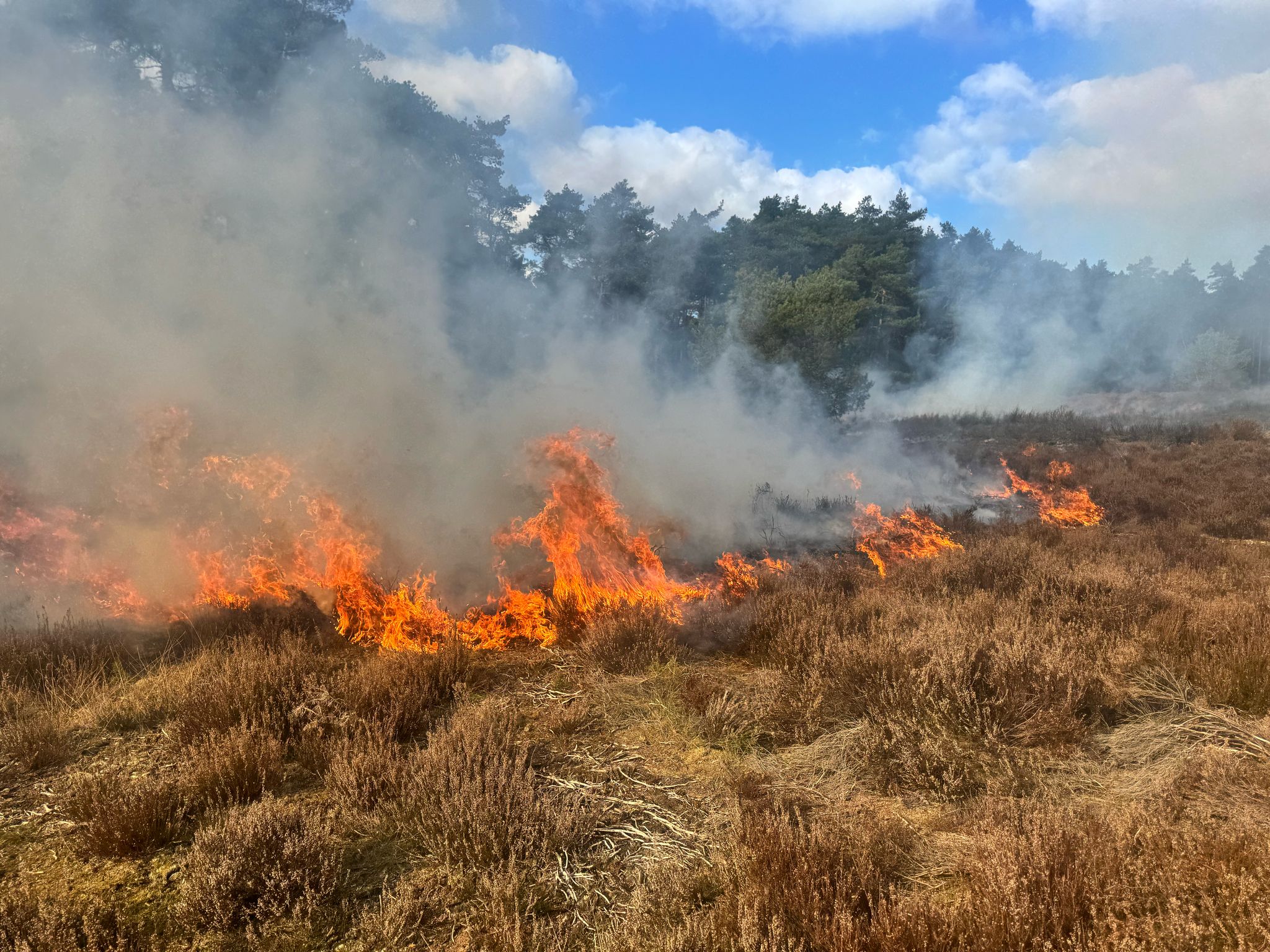 Foto: Derde natuurbrand van de dag: Elspeterweg afgesloten
