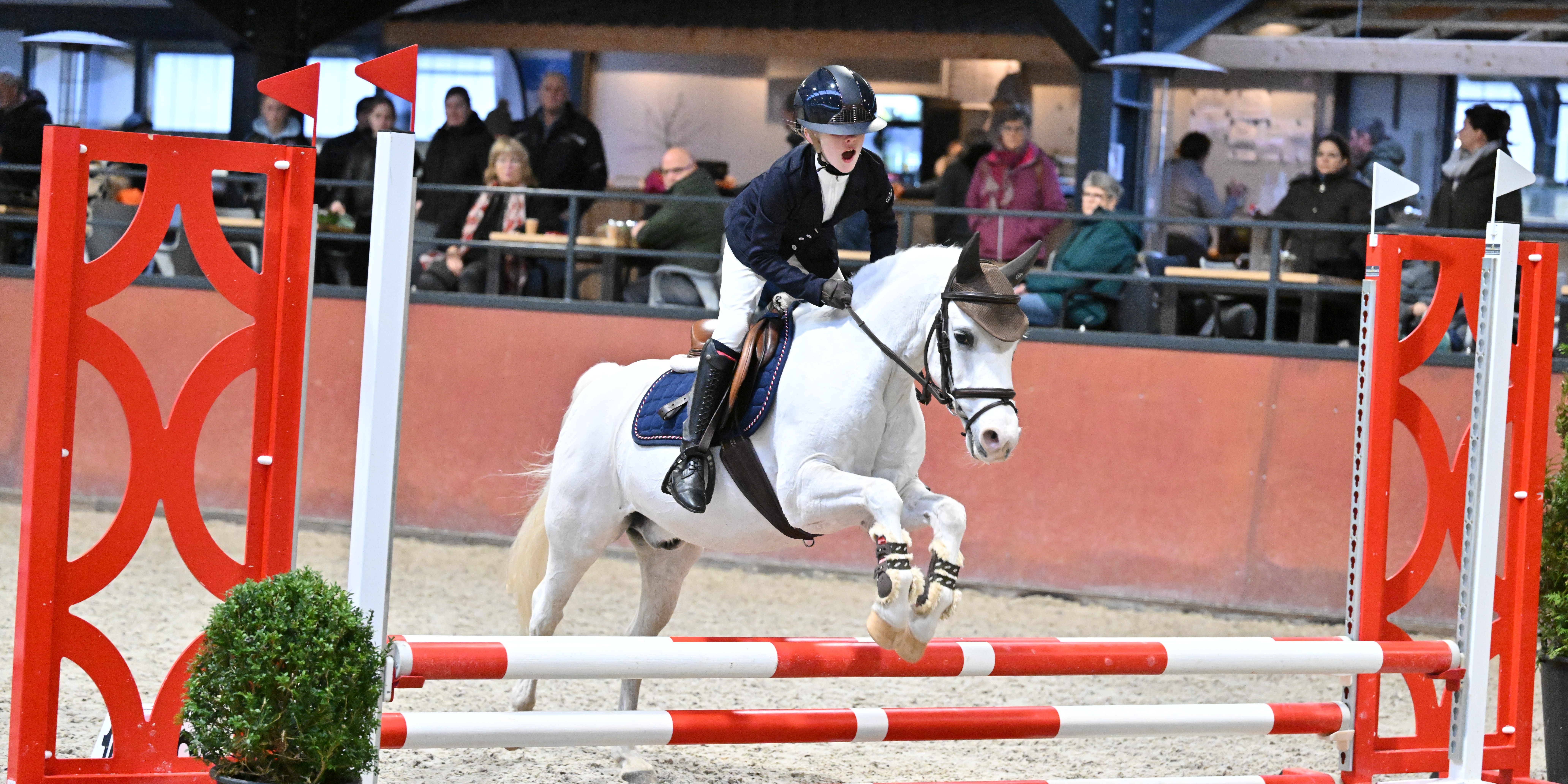 Foto: Succesvolle springwedstrijd voor Ponyclub Klein Maar Dapper