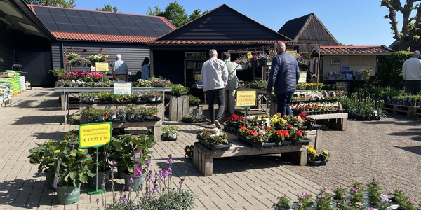 Foto: Zonnige Lentemarkt bij Molen de Duif