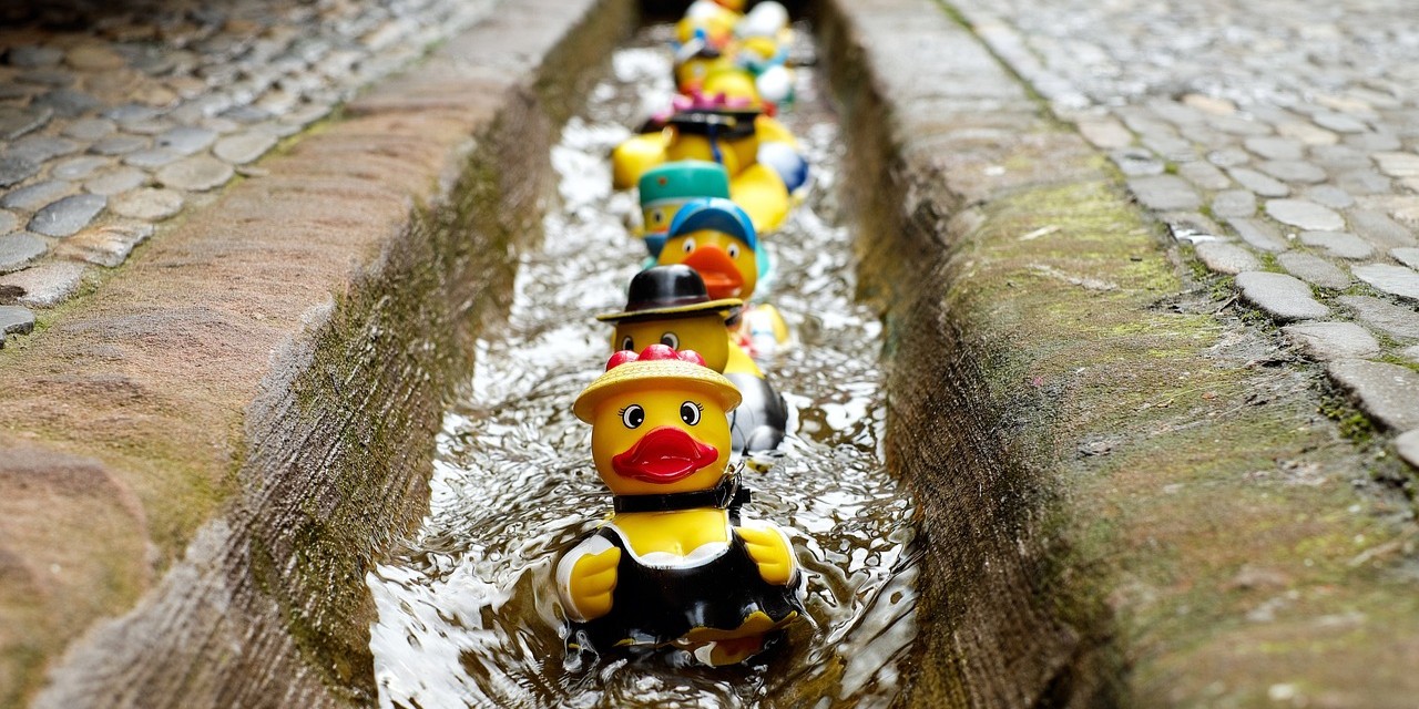 Foto: Eendjesrace in Zandenplas voor goede doelen