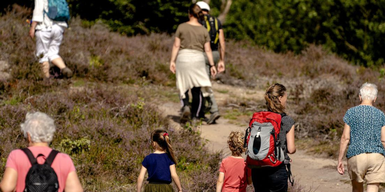Foto: Hoe druk is de Veluwe echt? Onderzoek onthult piekmomenten