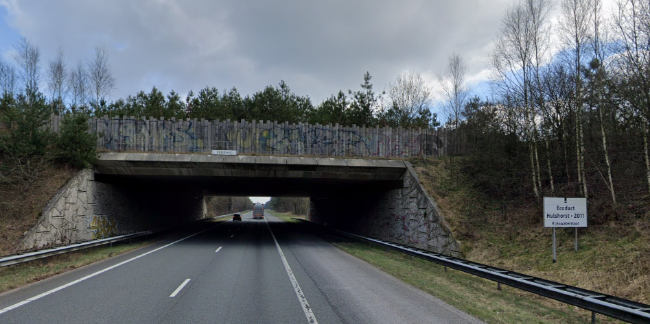 Foto: Ecoduct in Hulshorst blijft open voor groot wild, waaronder de wolf