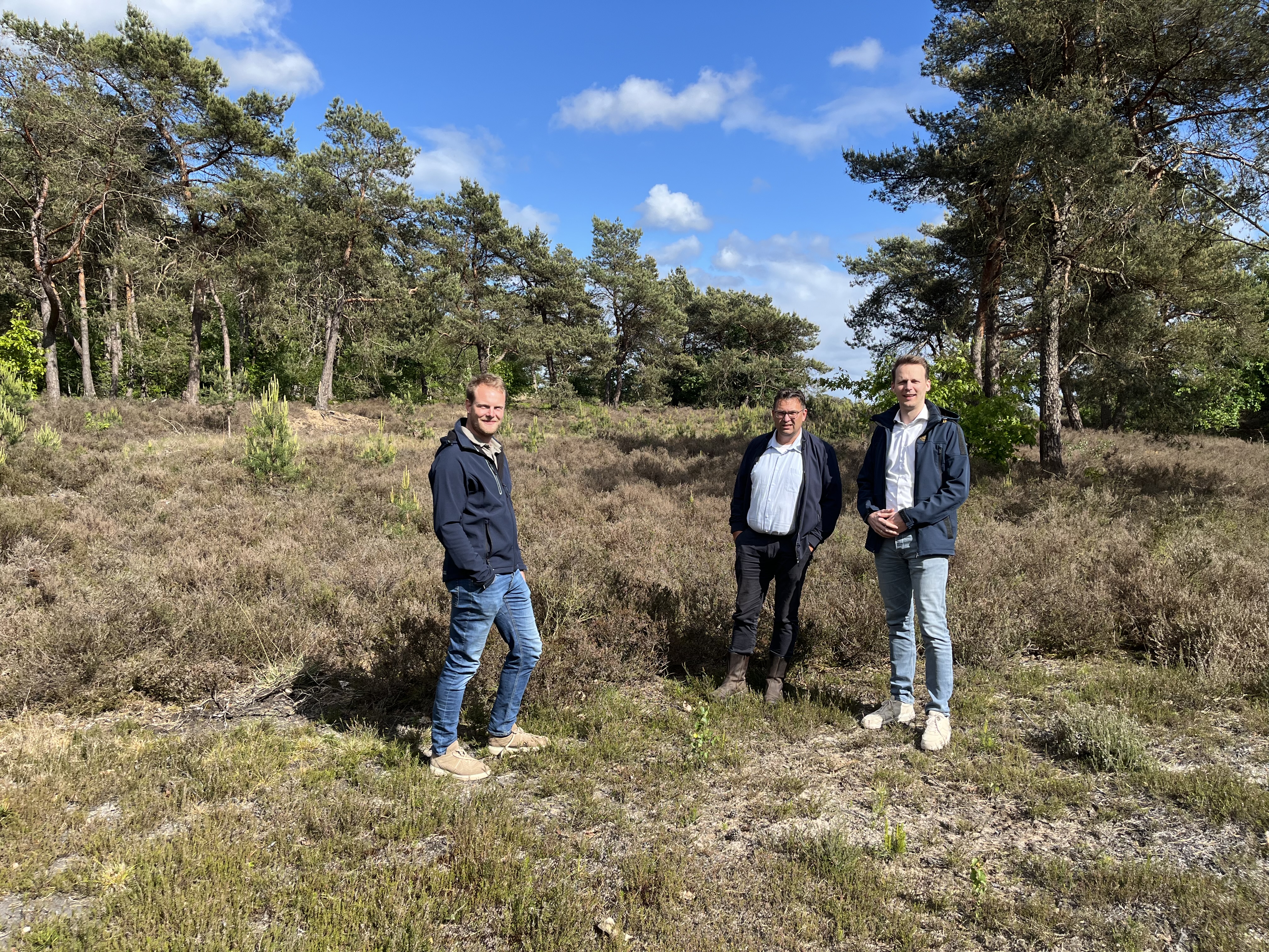 Foto: SGP Nunspeet: heidebeheer vraagt om actie – innovatie kan uitkomst bieden