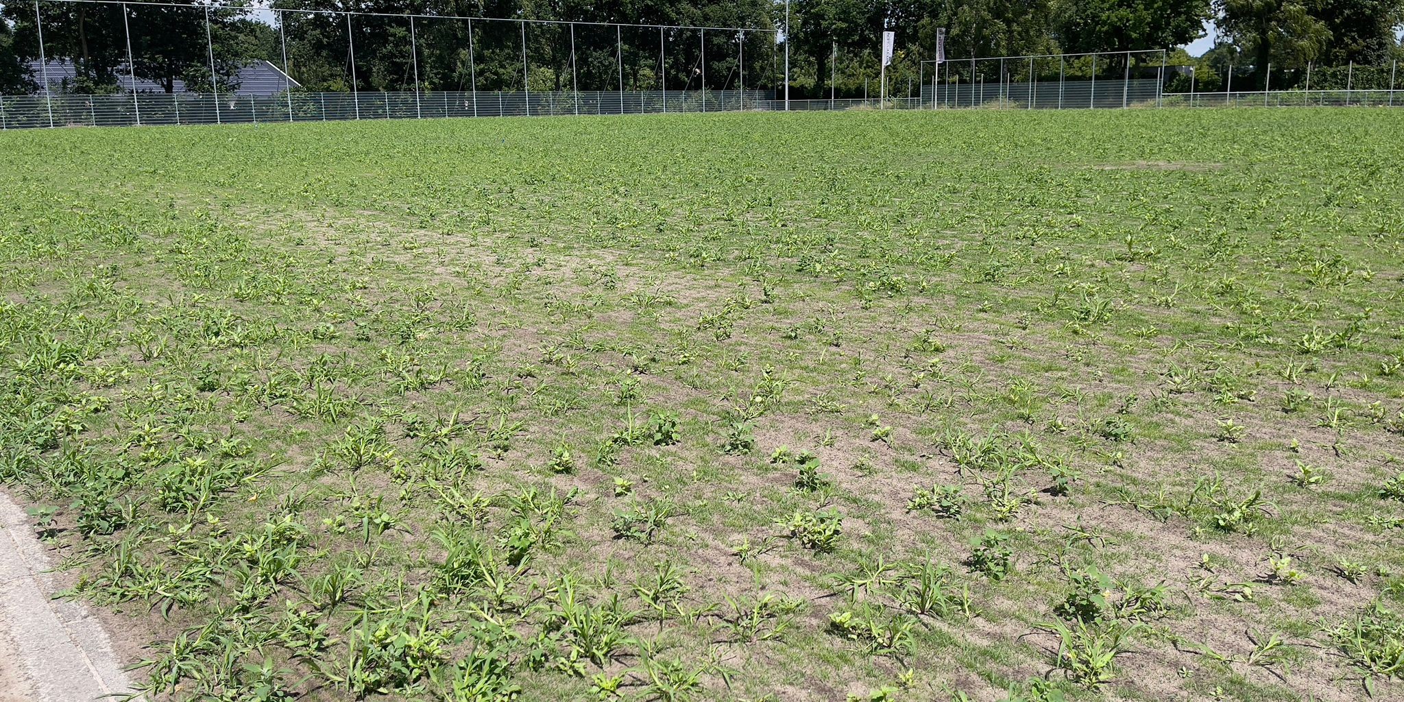 Foto: VV Hulshorst maakt zich zorgen over hoofdveld richting nieuw seizoen
