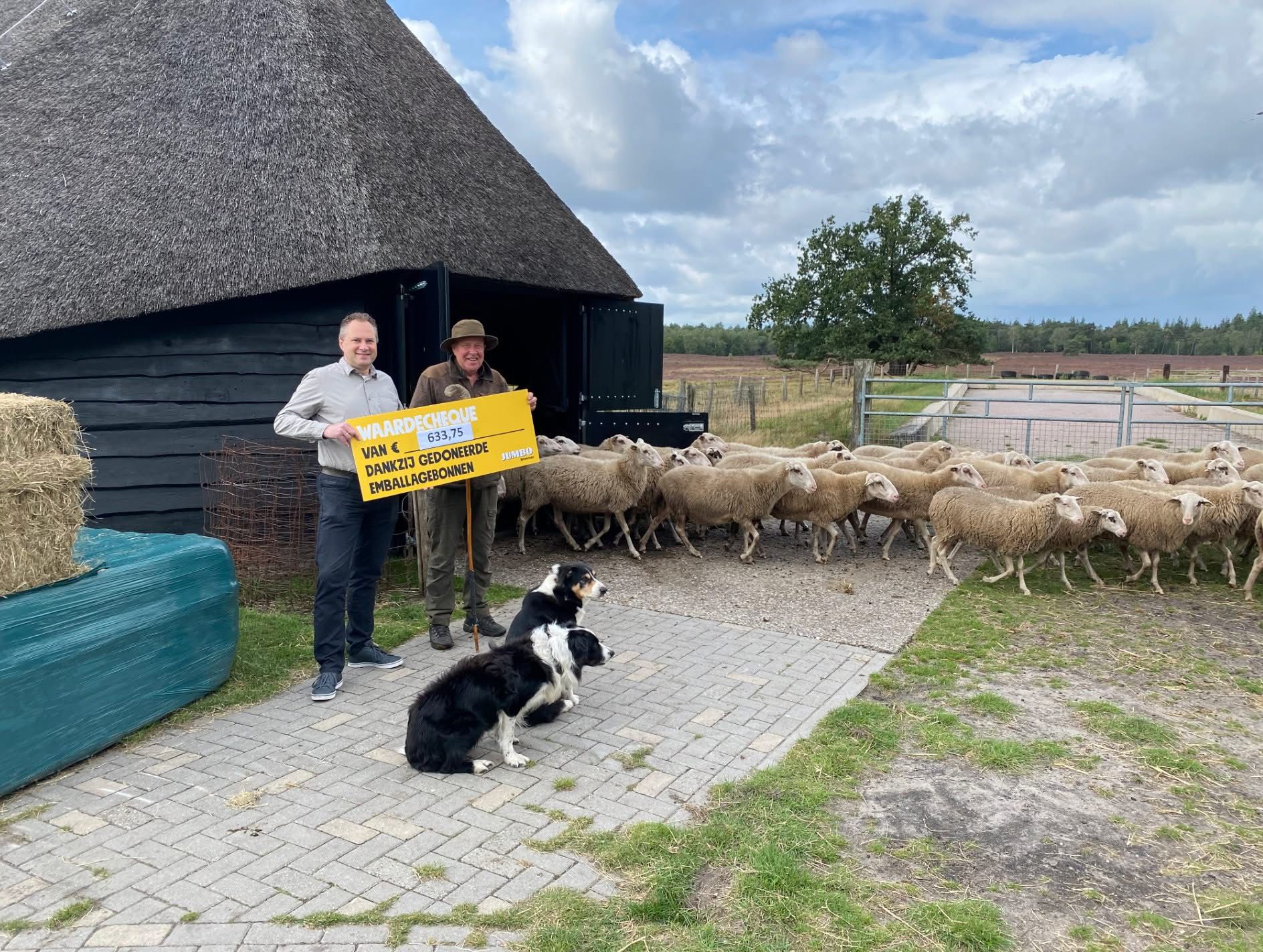 Foto: Lichtpuntje voor Schaapskudde Epe-Heerde, al blijft de focus gericht op Daisy