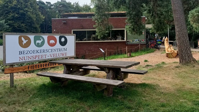 Foto: Werk in het bos achter het bezoekerscentrum: dit is wat je er van gaat merken