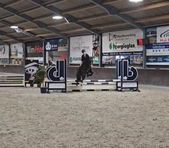 Foto: Uitstekende resultaten voor Ponyclub Klein Maar Dapper