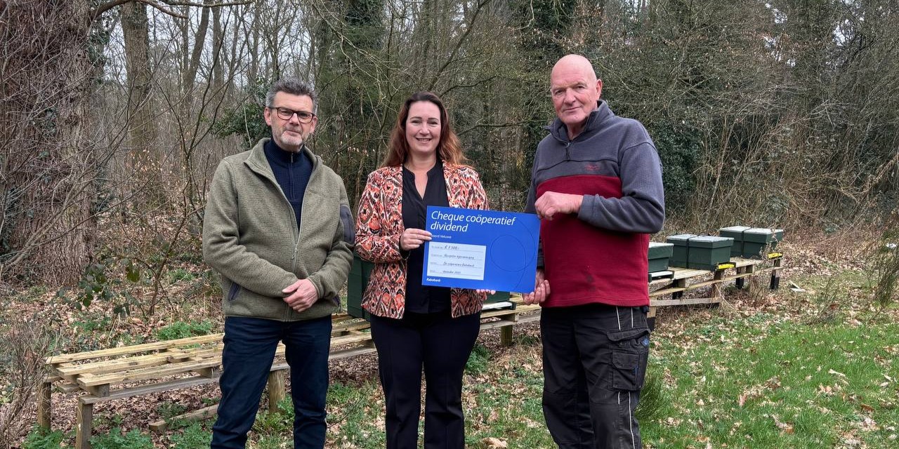 Foto: Bijenverenigingen in gemeente Nunspeet gaan de Aziatische Hoornaar opsporen met een drone