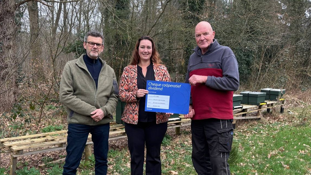 Foto: Bijenverenigingen in gemeente Nunspeet gaan de Aziatische Hoornaar opsporen met een drone