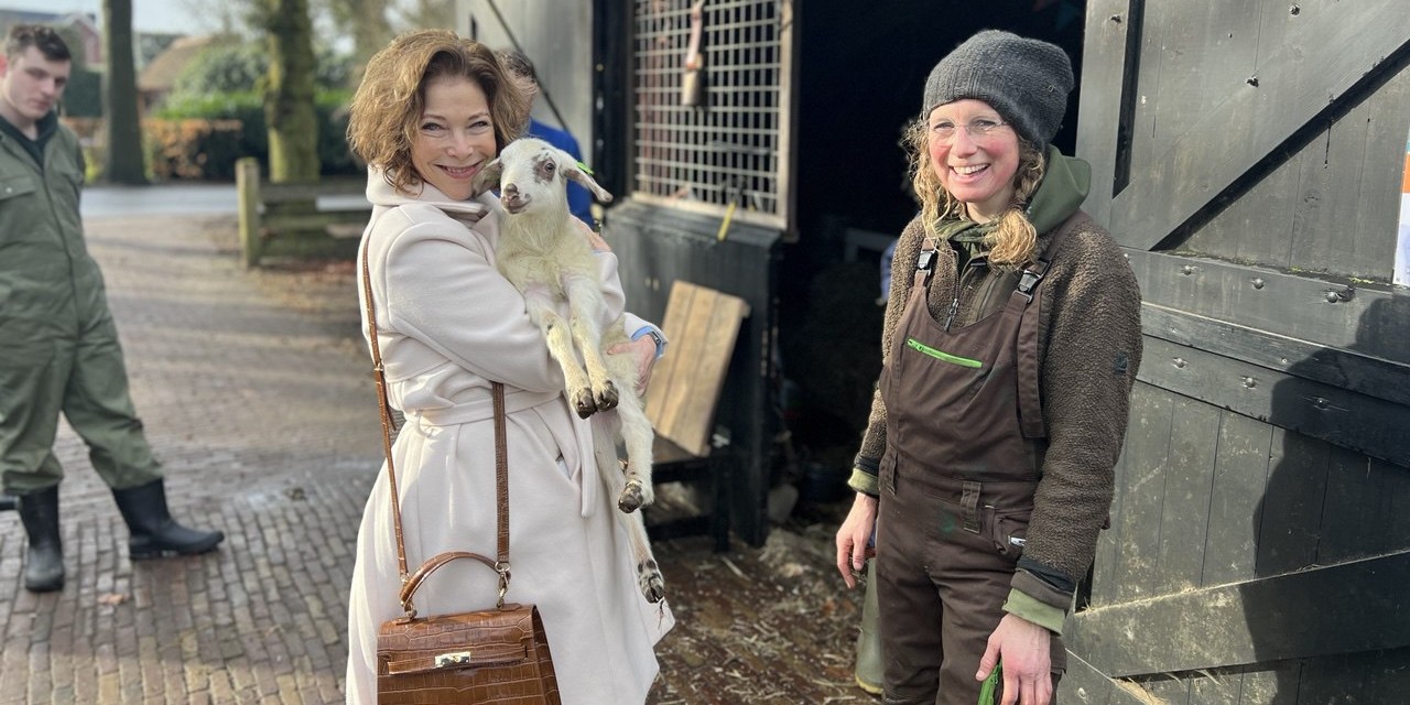 Foto: Eerste geadopteerde lammetje van het jaar in Elspeet krijgt bijzondere naam