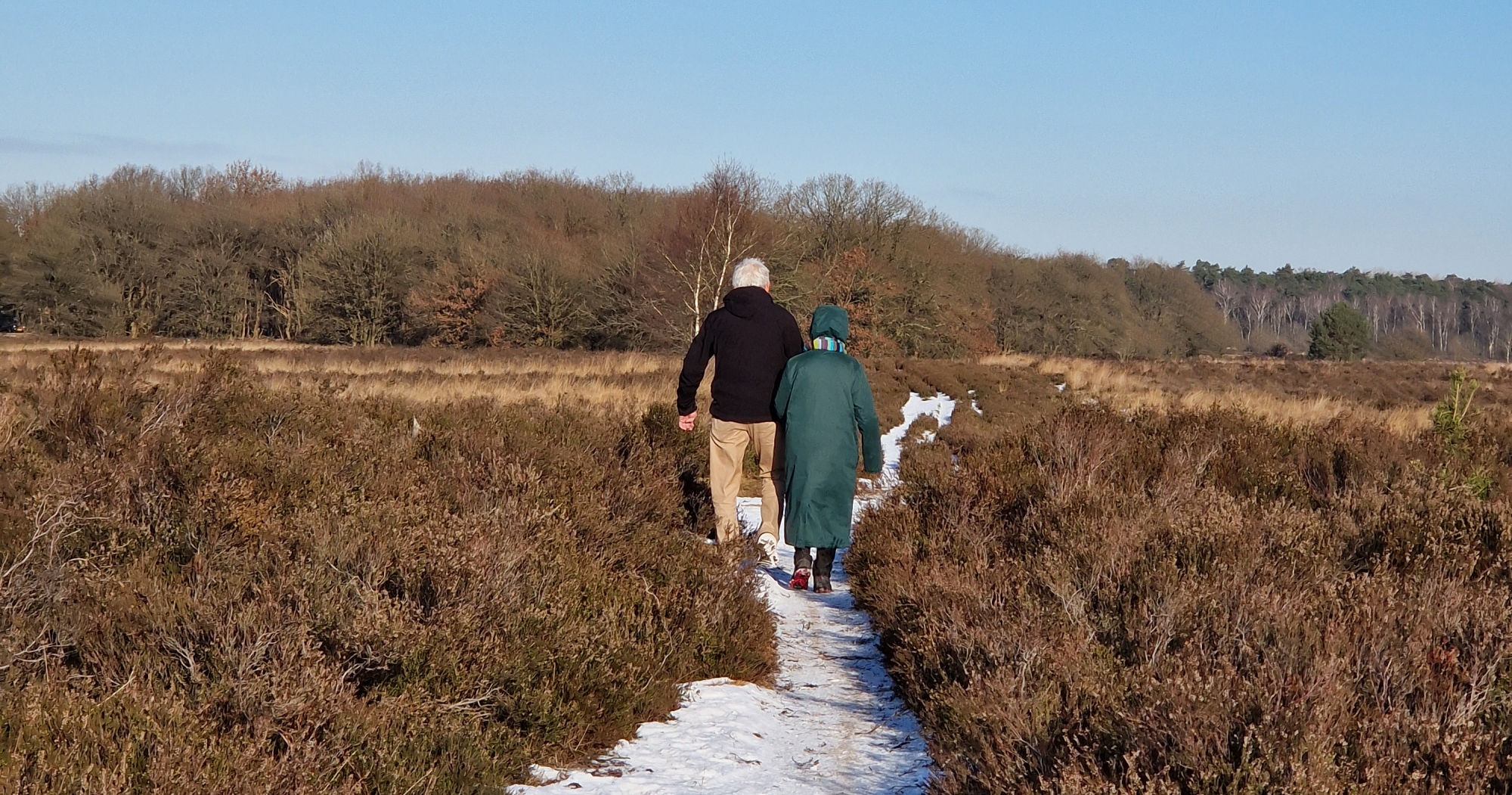 Foto: Deze wandelingen zetten de Veluwe Randmeer op de kaart: ‘Kijk eens om je heen!’
