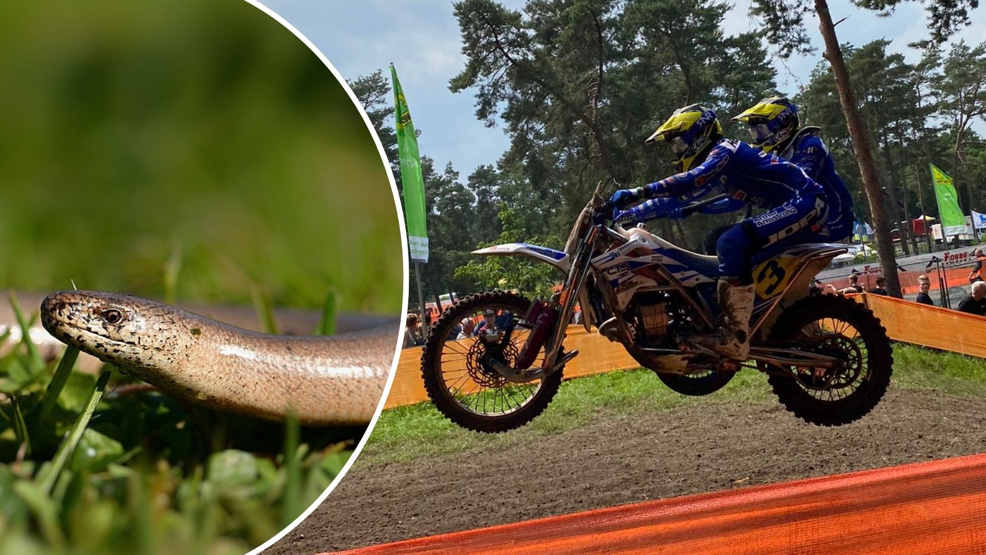 Foto: Hazelworm gooit roet in Oldebroekse crosstraditie
