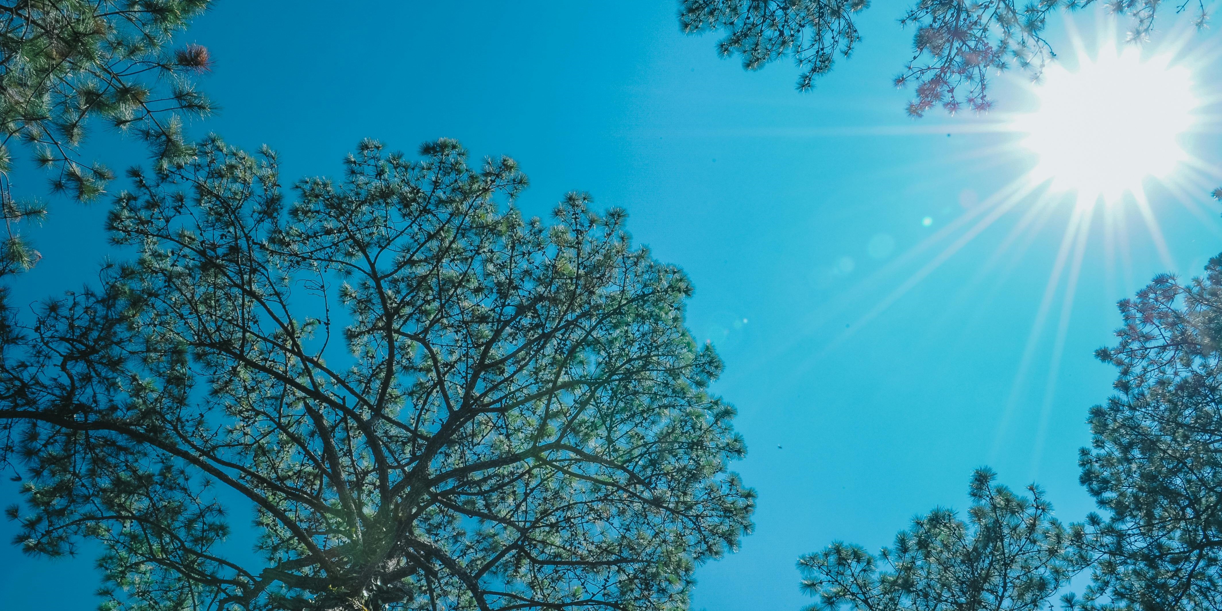 Foto: Regionaal lenteweer op komst
