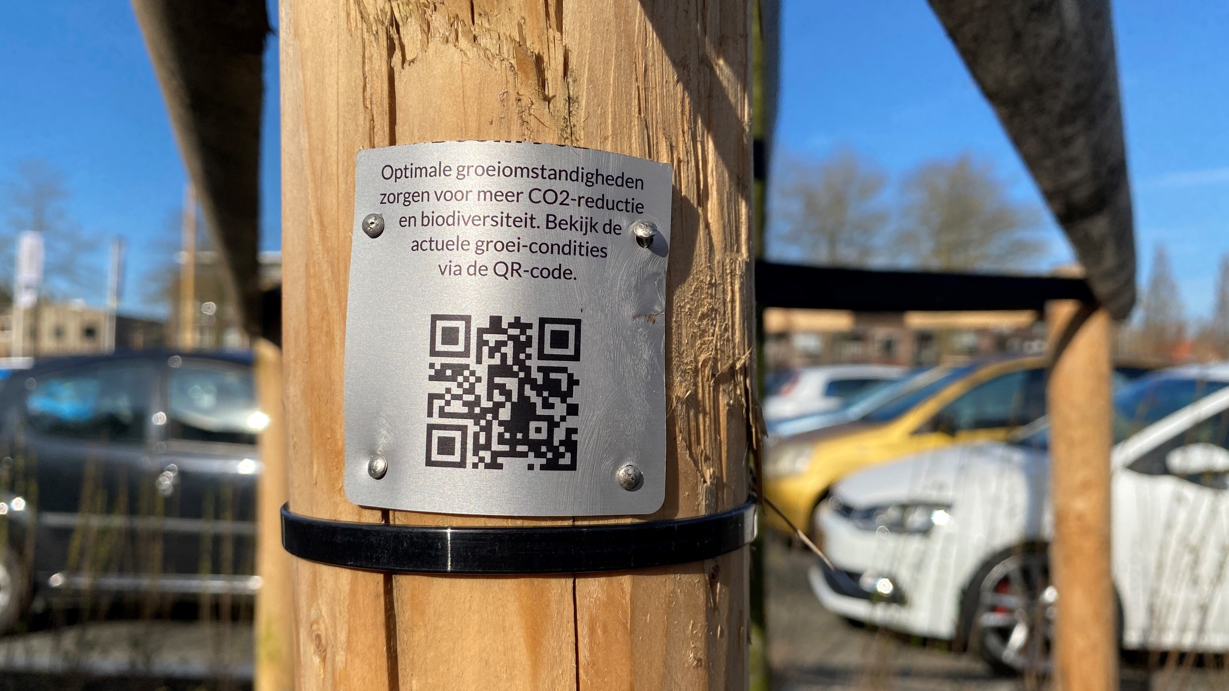 Foto: Innovatief bewateringssysteem moet ervoor zorgen dat nieuwe bomen in Barneveld blijven leven