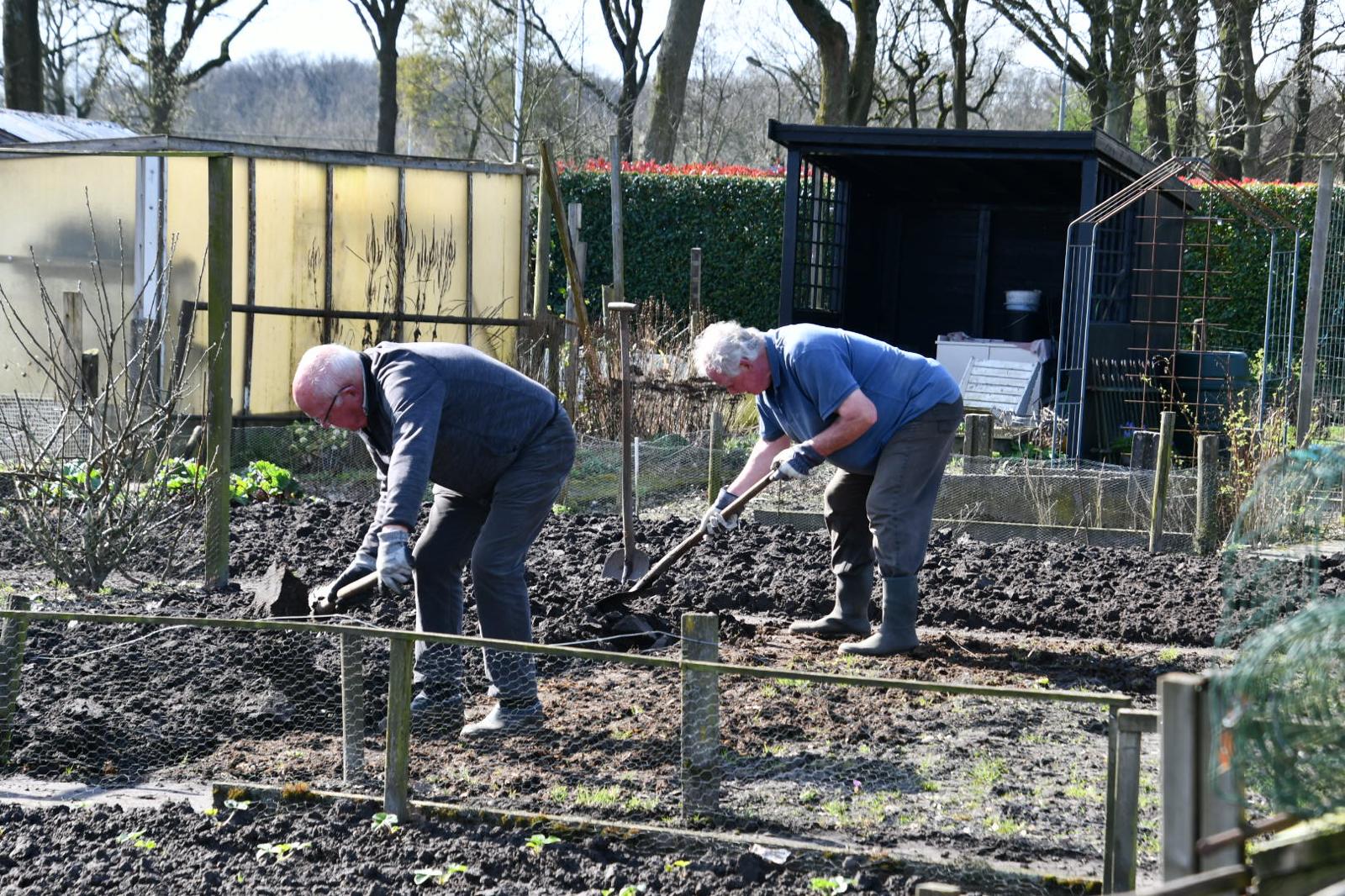 Foto: Volkstuintjes zijn razend populair, wachttijden lopen op tot vier jaar