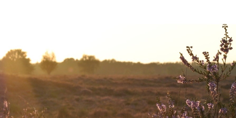 Foto: Denk mee over toerisme en recreatie in Ermelo