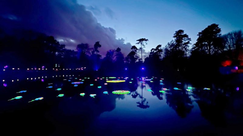 Foto: Alleen jongeren maken dit jaar kans op de Gelderse Roos Prijs