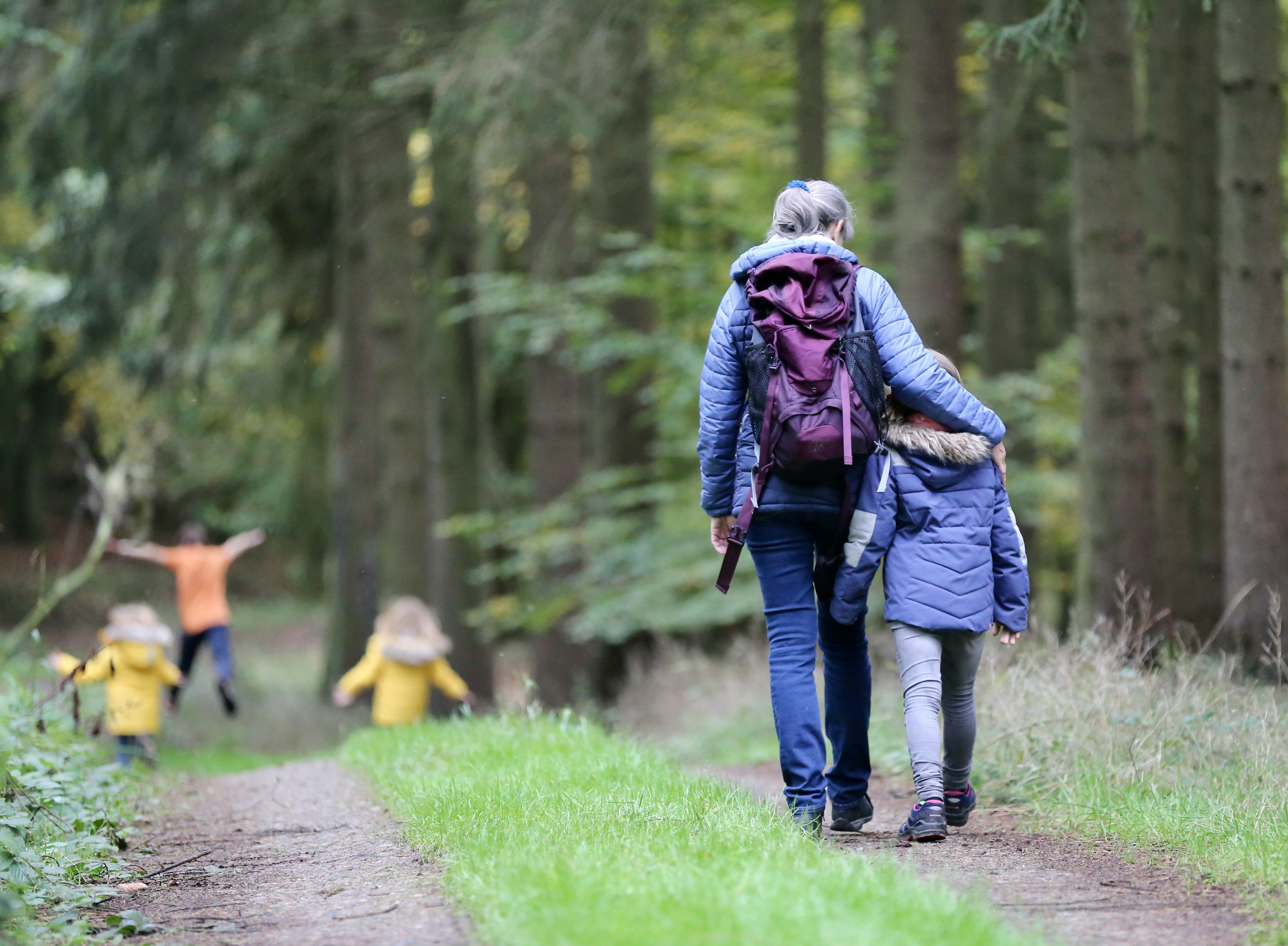 Foto: Nieuw wandelnetwerk Ermelo zorgt voor rust voor de natuur