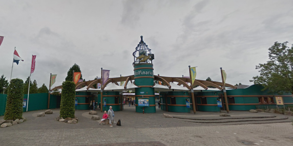 Foto: Activisten springen in water tijdens show Dolfinarium