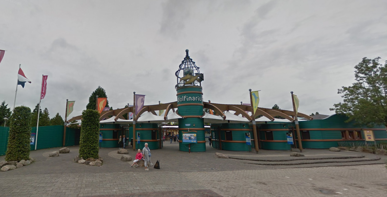 Foto: Activisten springen in water tijdens show Dolfinarium