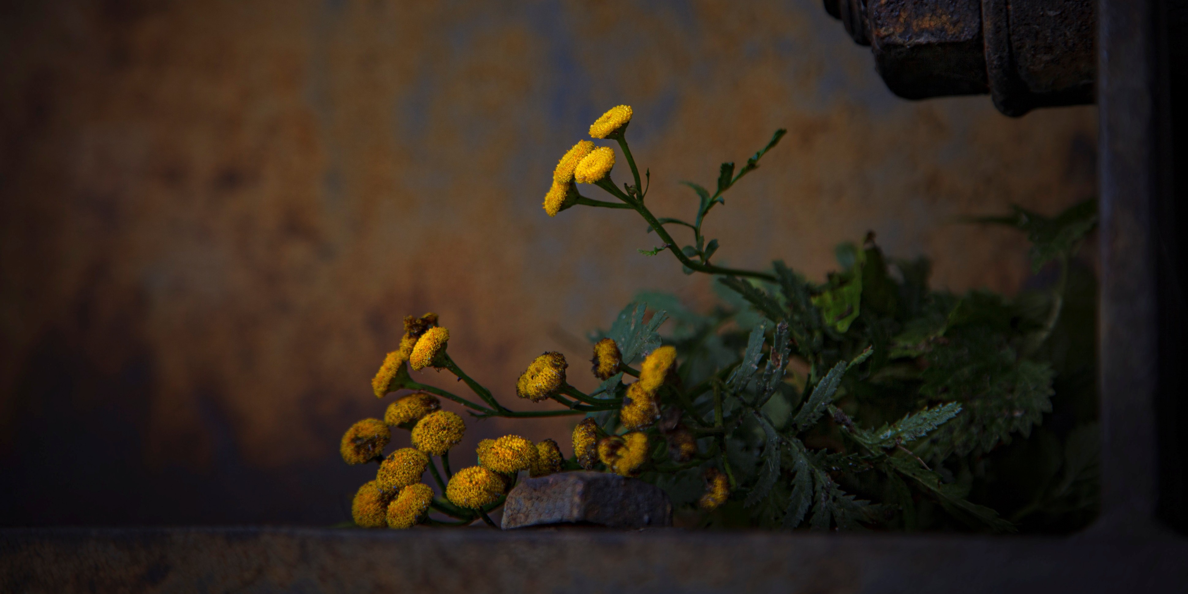 Foto: Kunst bekijken bij de kunstenaar thuis tijdens Atelierroute Putten