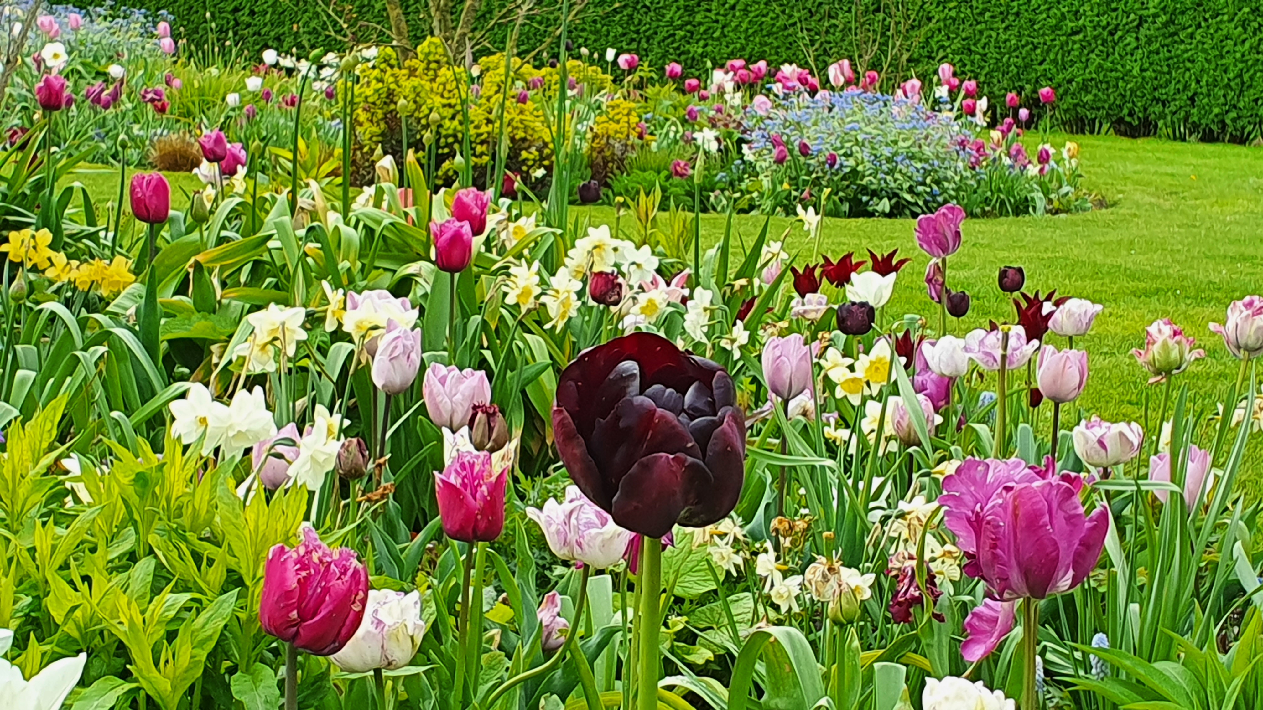 Foto: Groene inspiratie opdoen tijdens de open tuinenroute