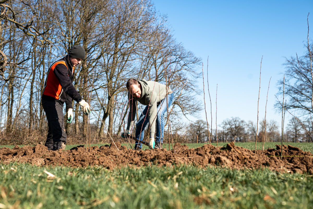 Foto: Voorthuizen in het Groen