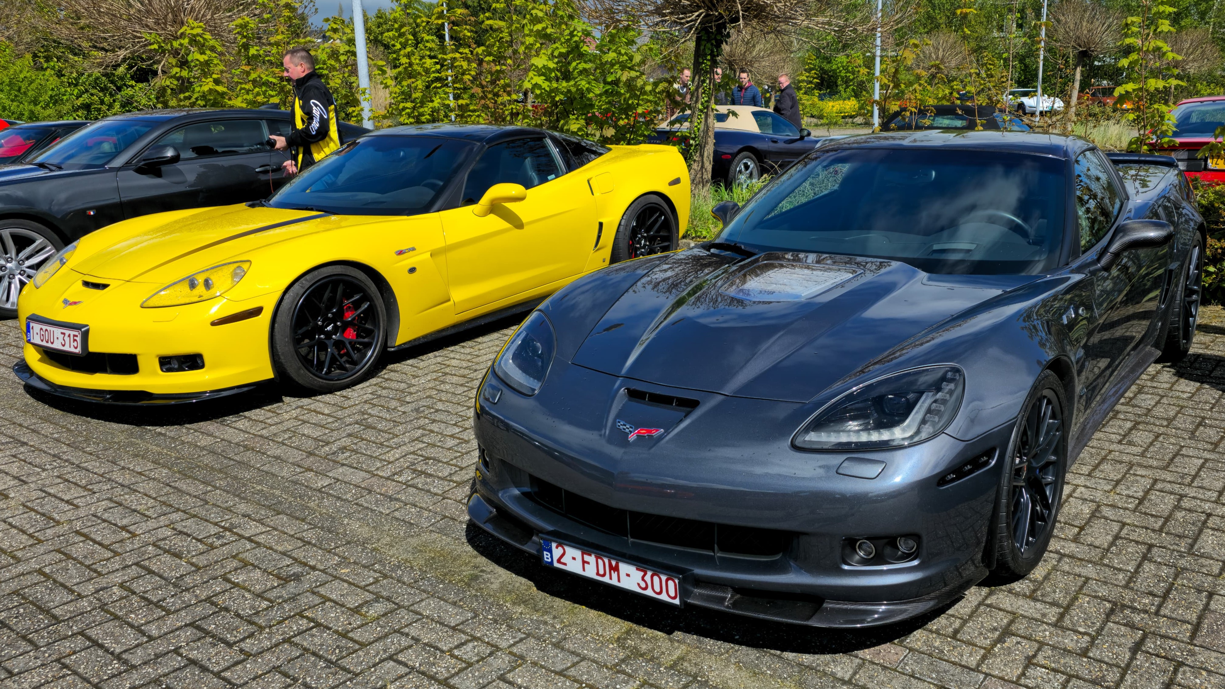 Foto: Blikvangers komen samen in Wezep, veel unieke automodellen geshowd