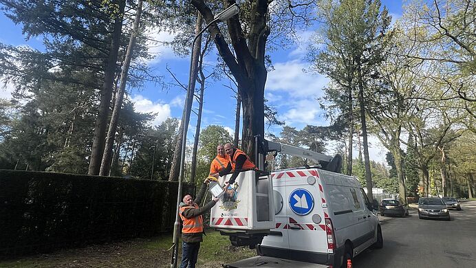 Foto: Grootschalige vervanging openbare verlichting afgerond