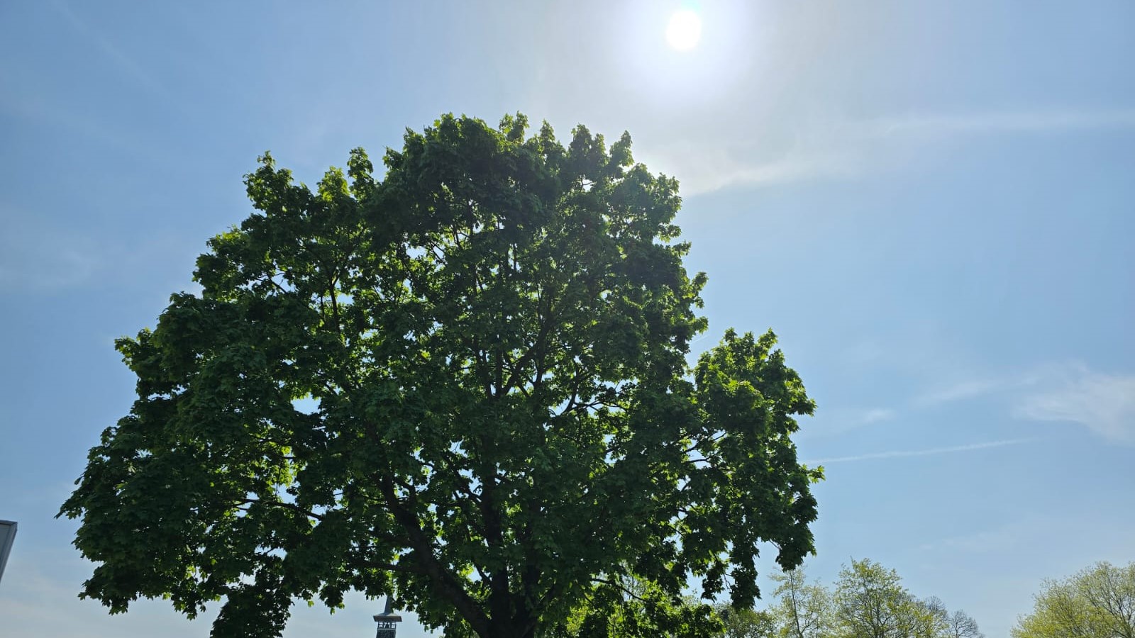 Foto: Herfst in aantocht, maar de warmte keert terug volgende week