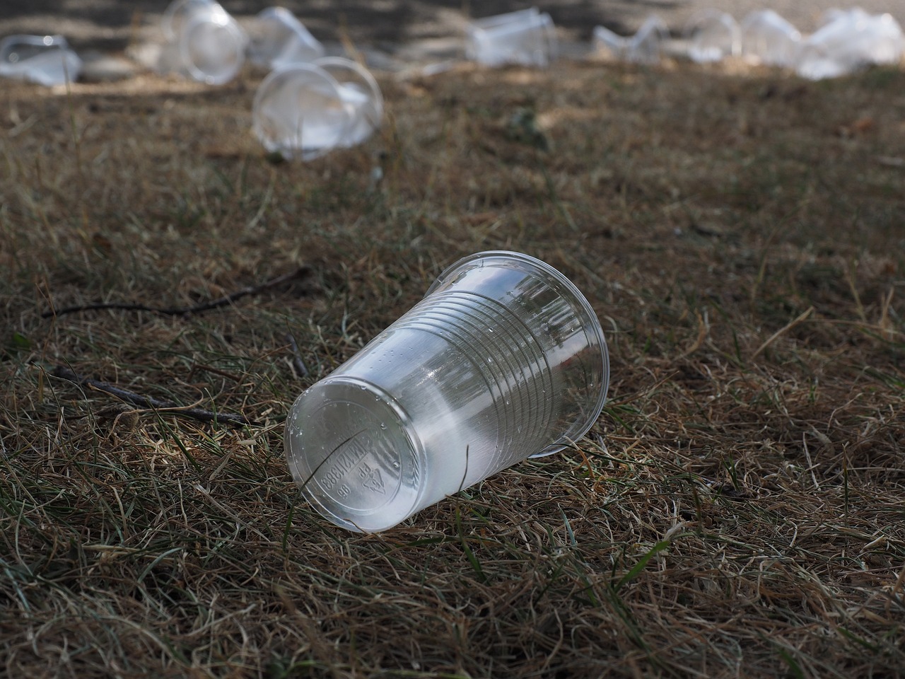 Foto: ChristenUnie-SGP Nijkerk vraagt om alternatief voor plastic wegwerpbekers bij evenementen 