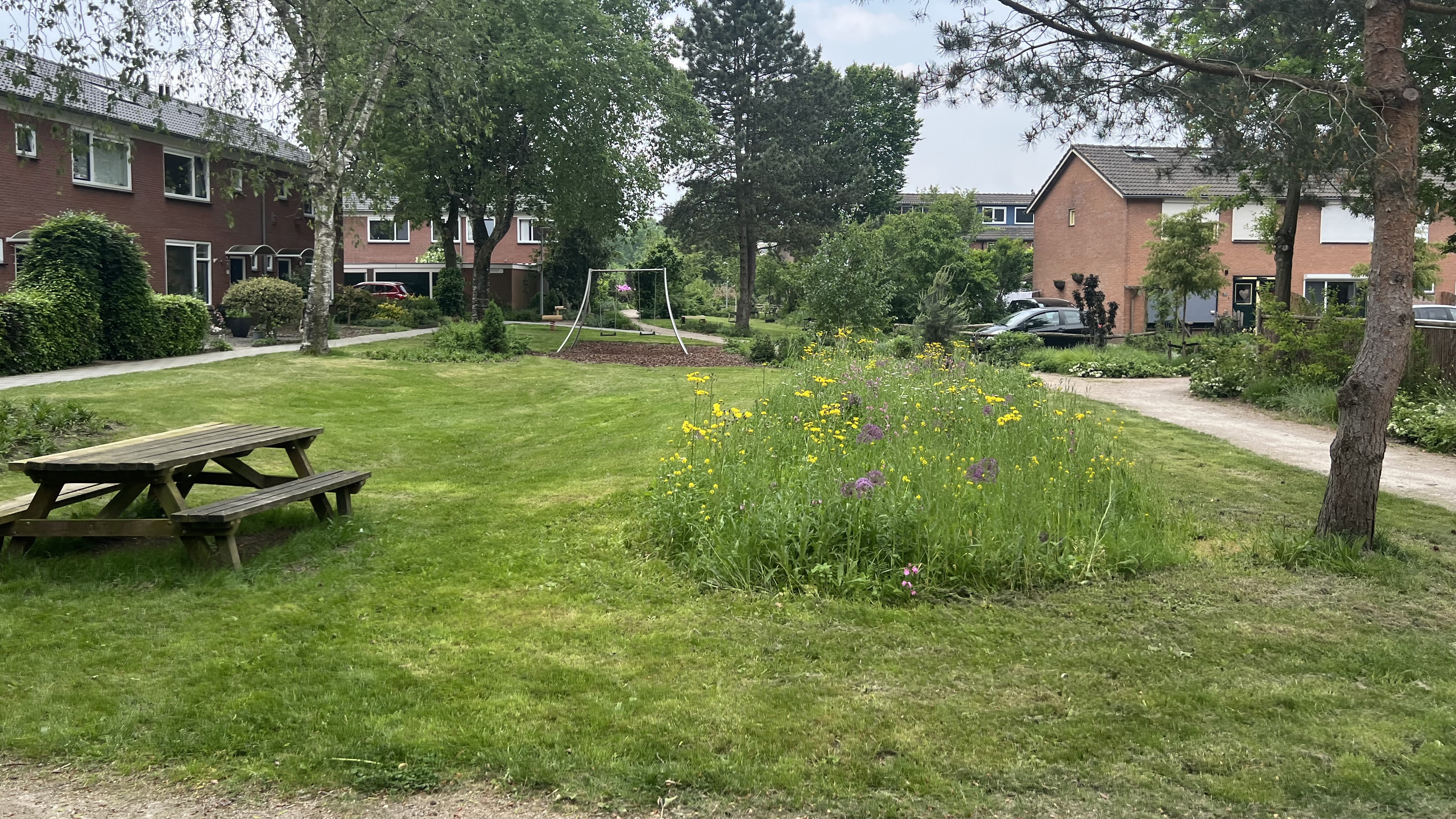Foto: Nieuwe Groenzone in Ermelo zorgt voor meer biodiversiteit