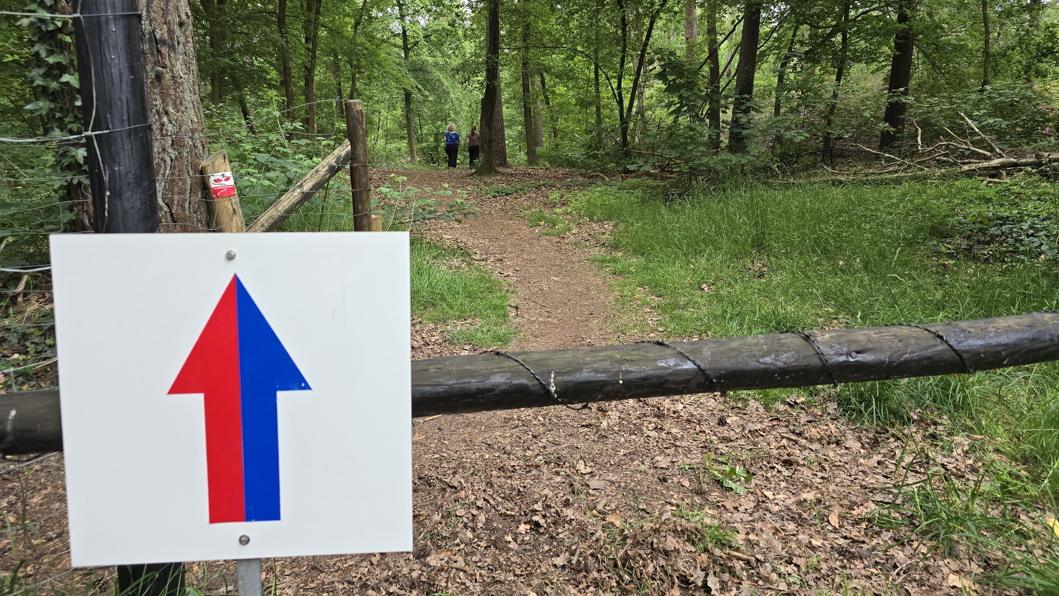 Foto: Op de klomp’m deur Oldebroek (met foto’s)