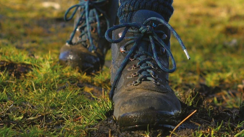 Foto: Schuiteman Accountants Wandelfestijn stopt door tekort aan vrijwilligers