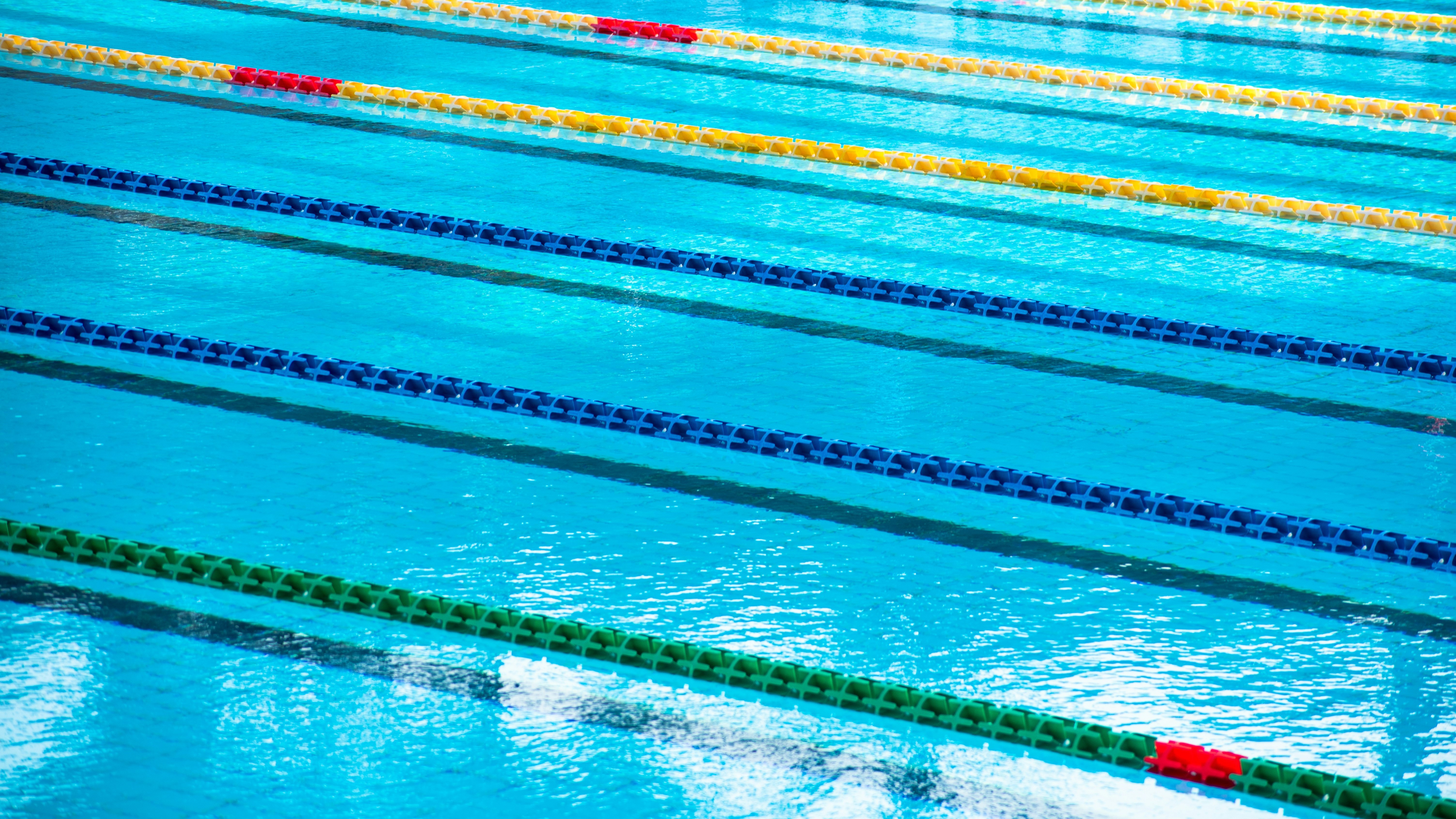 Foto: Eerste schoolzwemtoernooi in Ermelo: ‘Een positieve ervaring met zwemmen’ 